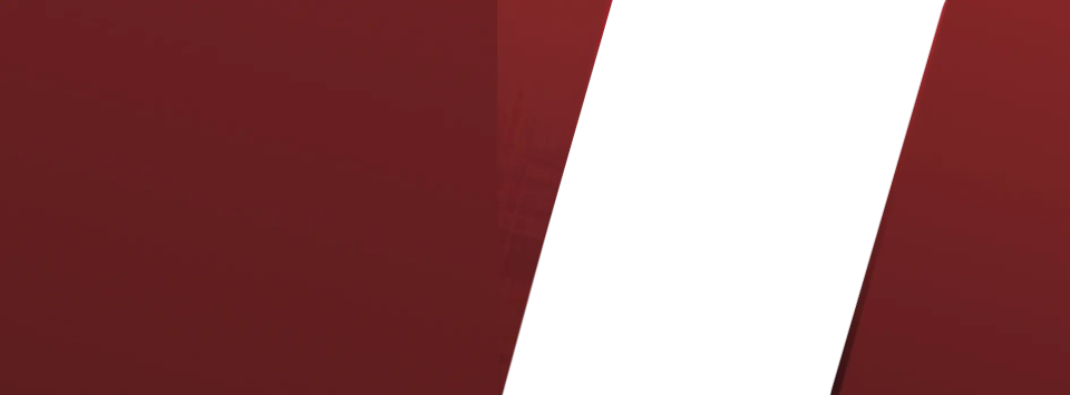 BIMDeX